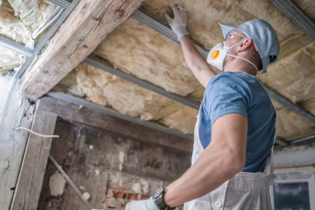 Best Energy Efficiency Insulation in Tonawanda, NY