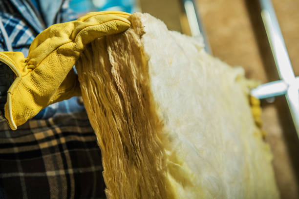Professional Insulation Contractor in Tonawanda, NY